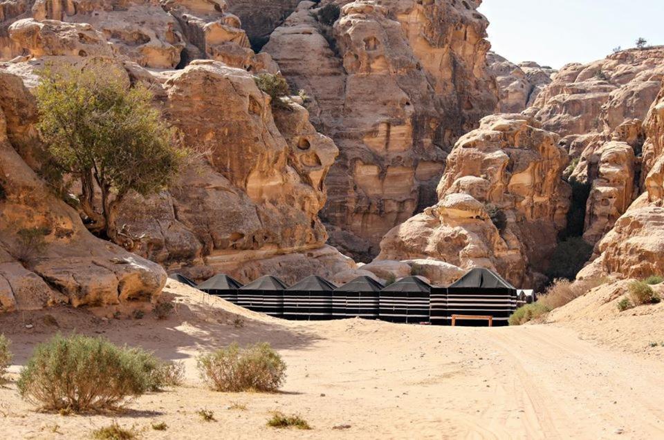 Ammarin Bedouin Camp Otel Wadi Musa Dış mekan fotoğraf