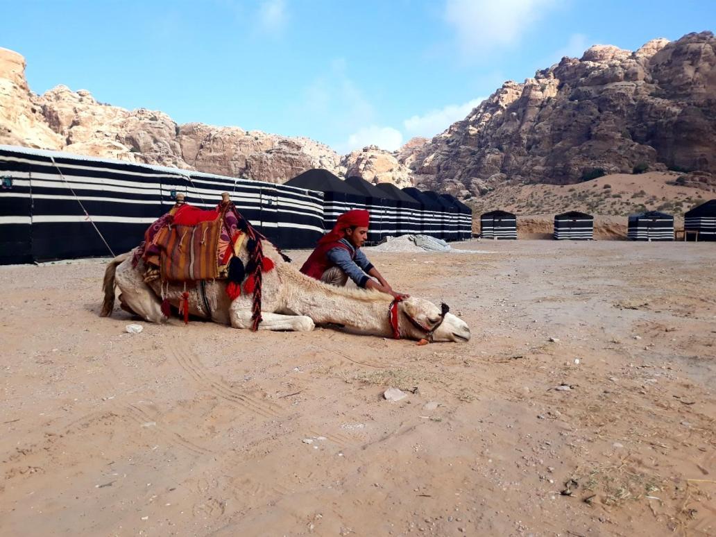 Ammarin Bedouin Camp Otel Wadi Musa Dış mekan fotoğraf