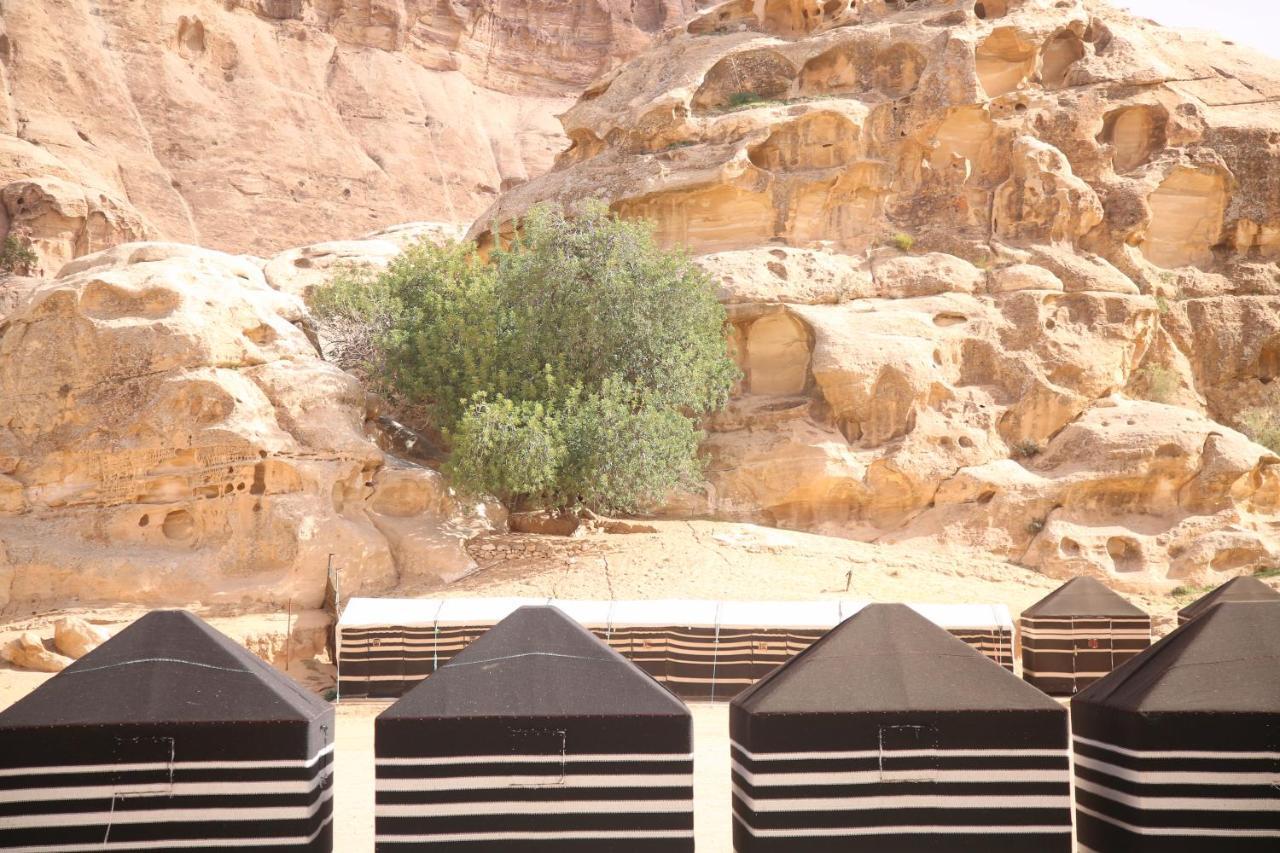 Ammarin Bedouin Camp Otel Wadi Musa Dış mekan fotoğraf